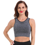 Breathable Gym Running Mesh Sports Bra