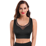 Yoga Gym Push Up Sports Bra