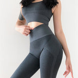 Seamless Leggings+Sport Bra Yoga Set (2pcs) Dark Gray