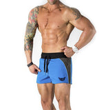 Gym Training Fast Dry Slim Shorts