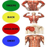 Sport Accessories - 9 In 1 Push Up Rack Board Men Women