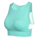 Sport Bras - Breathable Mesh Shockproof Padded Sports Bra