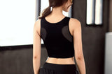 Sport Bras - Breathable Mesh Shockproof Padded Sports Bra