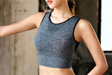 Sport Bras - Breathable Mesh Shockproof Padded Sports Bra