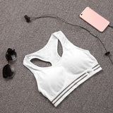 Sport Bras - Fitness Padded Compression Sport Bra