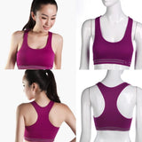 Sport Bras - Fitness Padded Compression Sport Bra