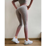 Sport Suit - Athletic Fitness Suit (Crop Top+Leggings)