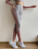 Sport Suit - Athletic Fitness Suit (Crop Top+Leggings)