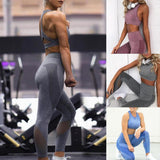 Sport Suit - Women's Seamless Yoga Set