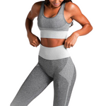 Seamless Leggings+Sport Bra Yoga Set (2pcs) Gray